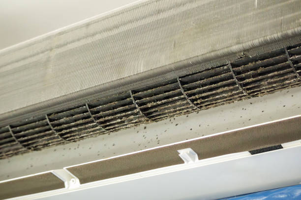 Best Affordable Air Duct Cleaning  in Port Washington, WI